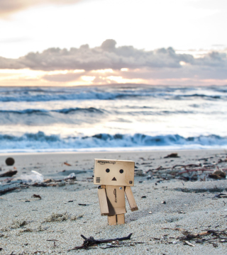 Danbo On The Beach - Obrázkek zdarma pro iPad mini