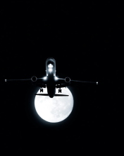 Night Flight wallpaper 176x220