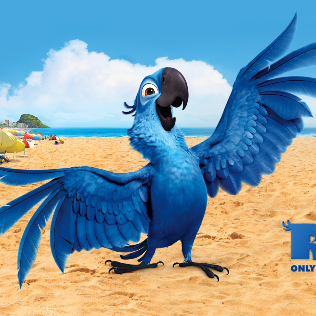 Das Rio, Blu Parrot Wallpaper 1024x1024