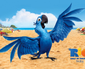 Rio, Blu Parrot screenshot #1 176x144