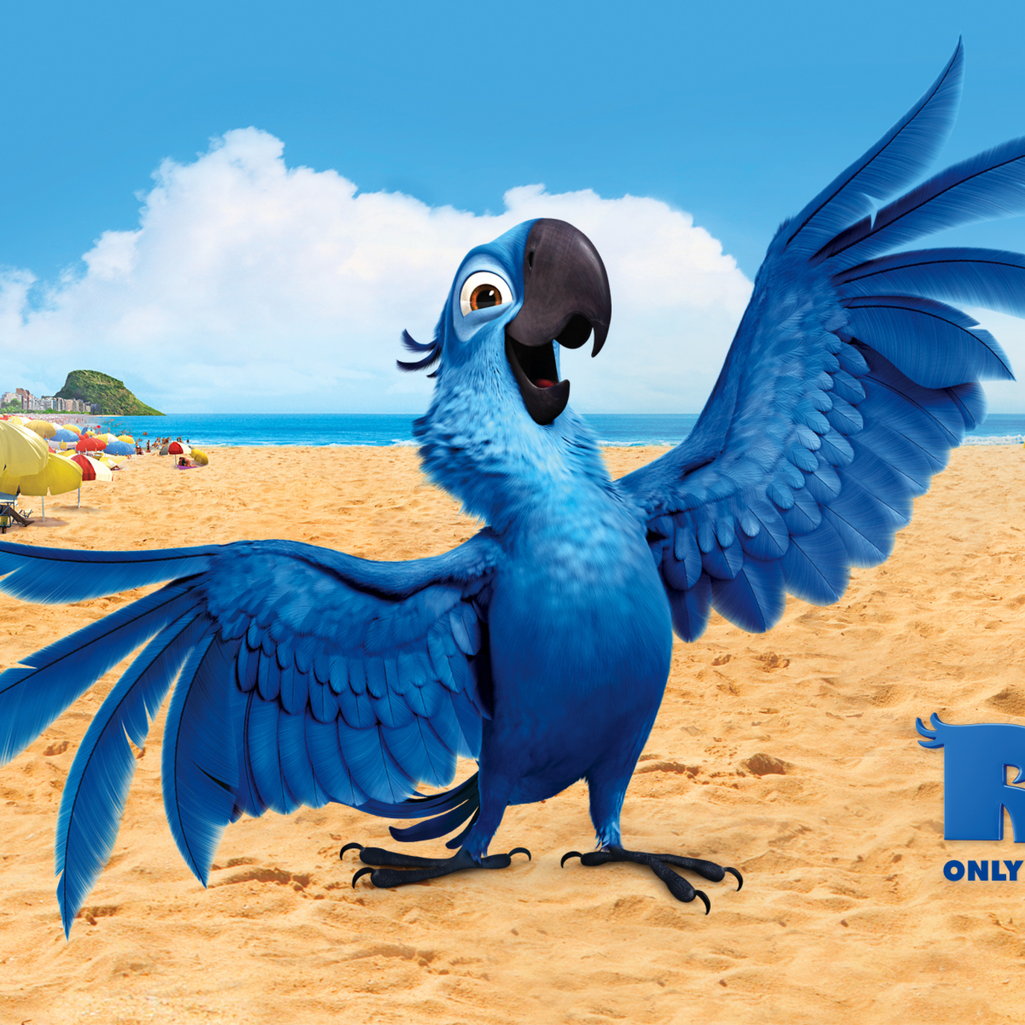 Das Rio, Blu Parrot Wallpaper 2048x2048