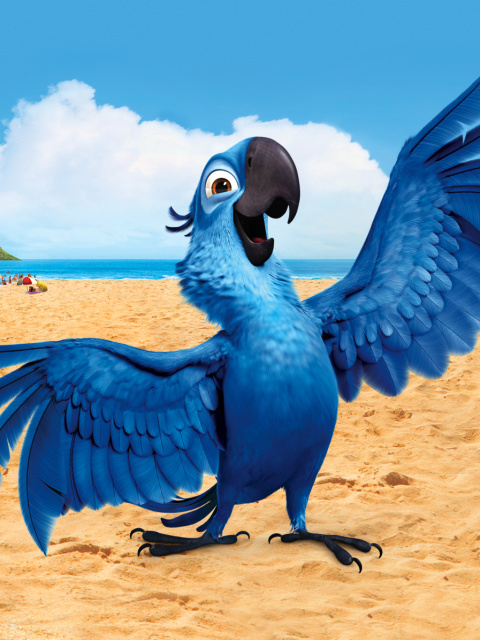Das Rio, Blu Parrot Wallpaper 480x640