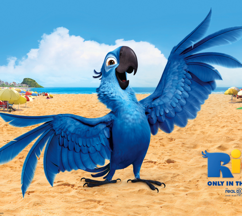 Rio, Blu Parrot wallpaper 960x854