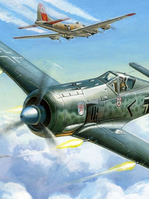 Fondo de pantalla Focke Wulf Fw 190 480x640