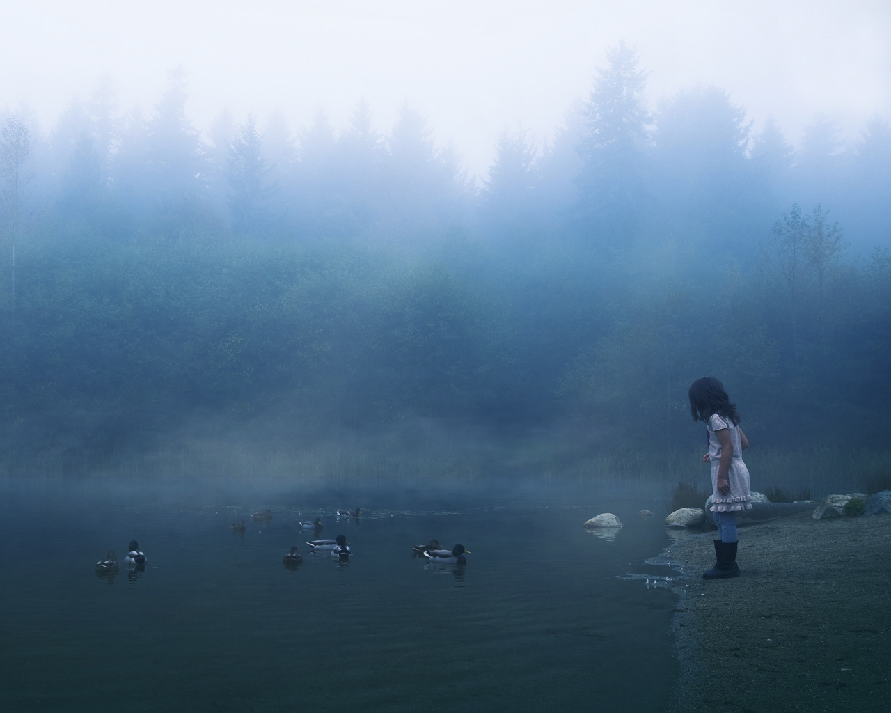 Child Feeding Ducks In Misty Morning screenshot #1 1280x1024