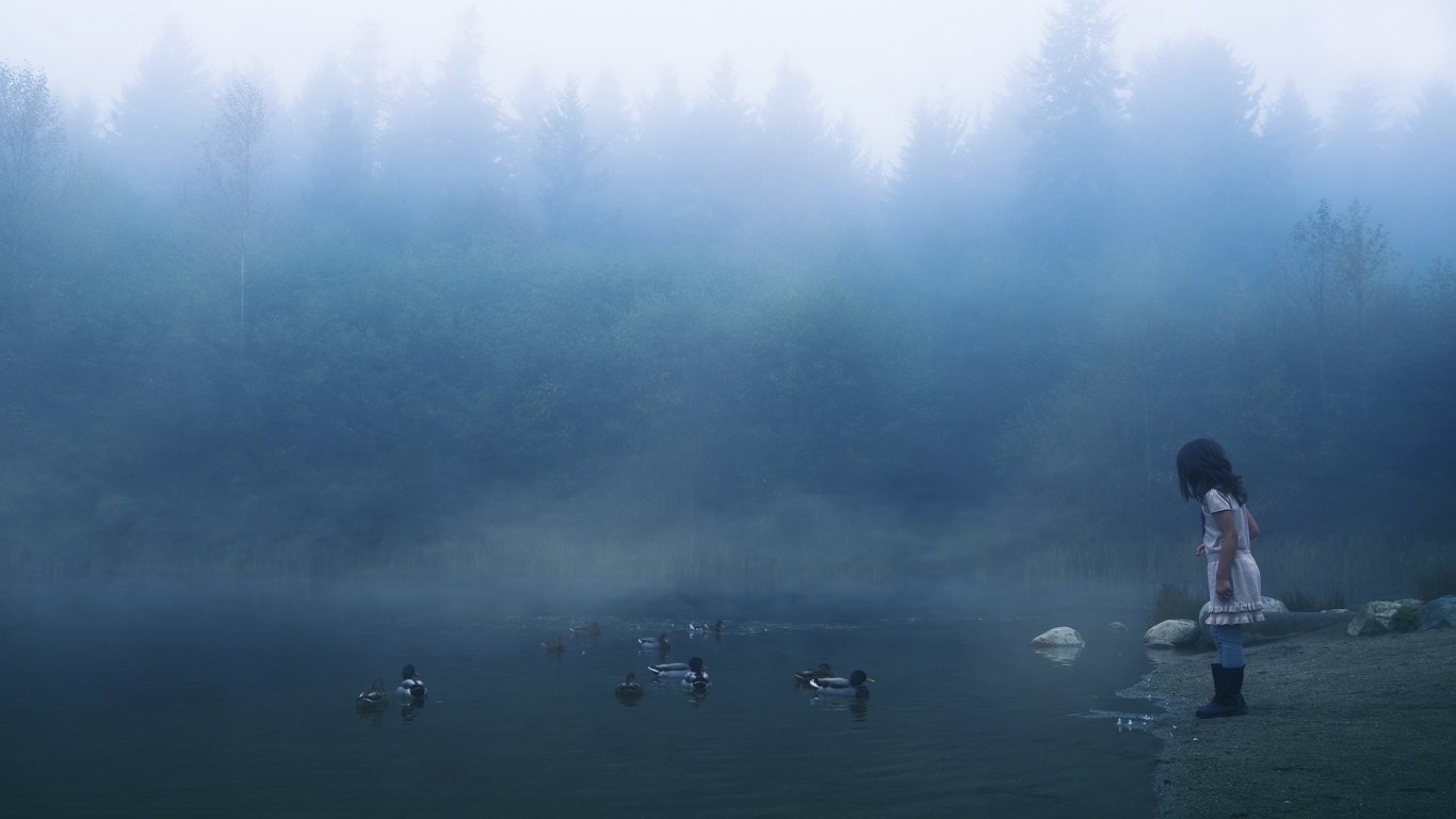 Обои Child Feeding Ducks In Misty Morning 1366x768