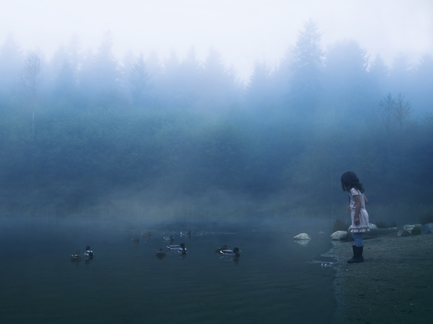 Fondo de pantalla Child Feeding Ducks In Misty Morning 1400x1050