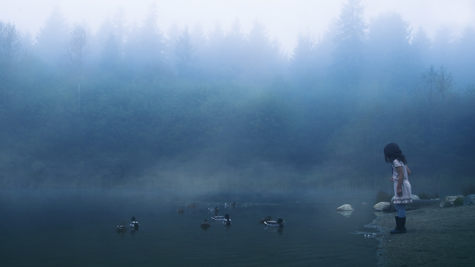 Обои Child Feeding Ducks In Misty Morning 1600x900