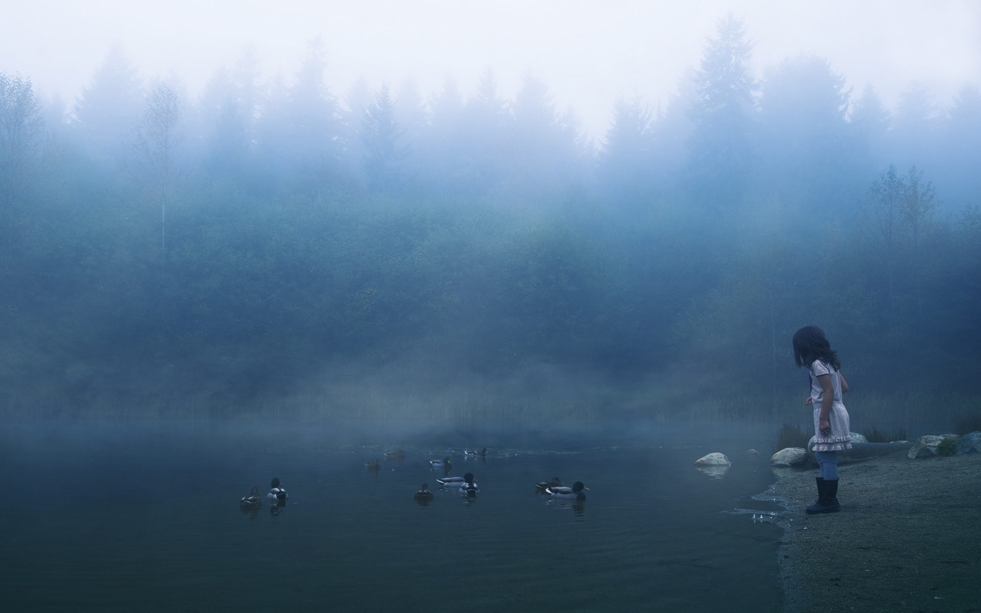 Обои Child Feeding Ducks In Misty Morning 1920x1200