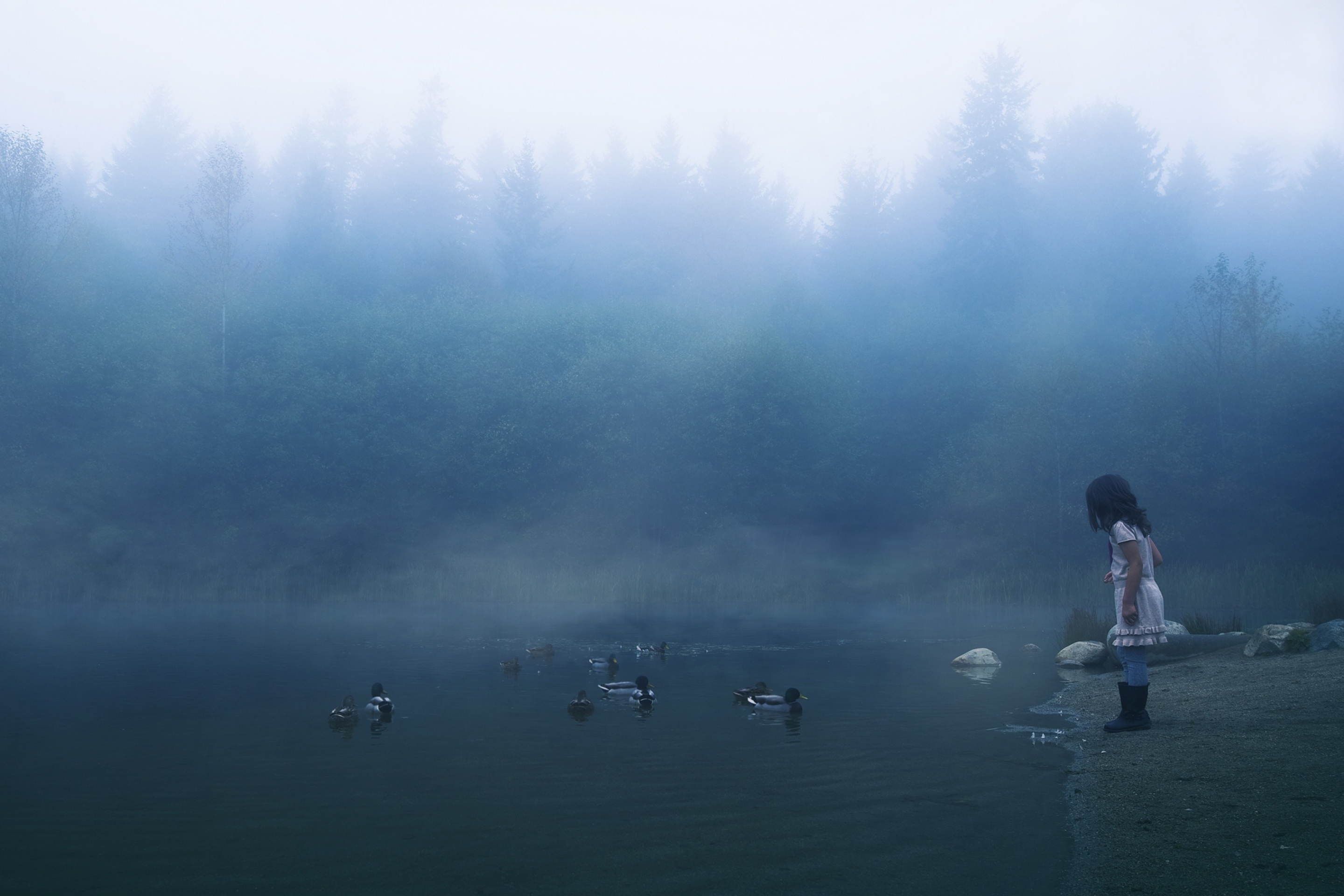 Sfondi Child Feeding Ducks In Misty Morning 2880x1920