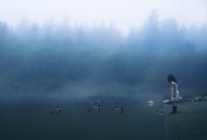 Das Child Feeding Ducks In Misty Morning Wallpaper