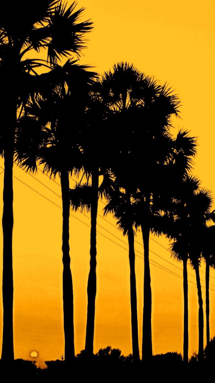 Sunset Palms screenshot #1 750x1334