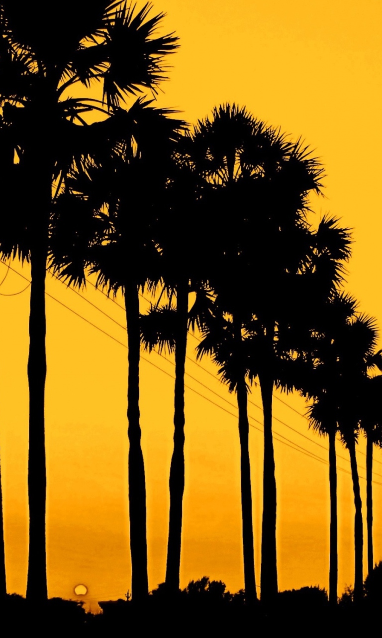 Screenshot №1 pro téma Sunset Palms 768x1280