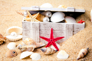 Free Sea treasure with pearls Picture for Android, iPhone and iPad
