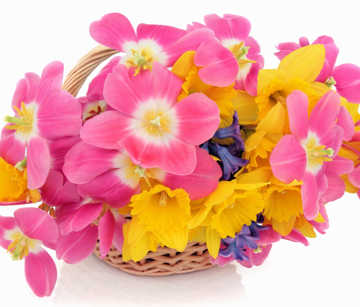 Das Indoor Basket of Tulips and Daffodils Wallpaper 1200x1024
