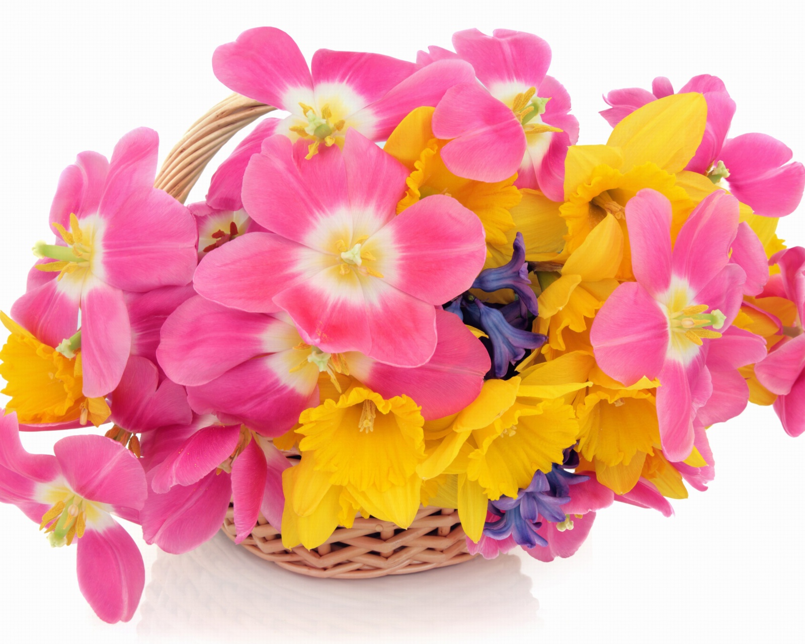 Indoor Basket of Tulips and Daffodils wallpaper 1600x1280