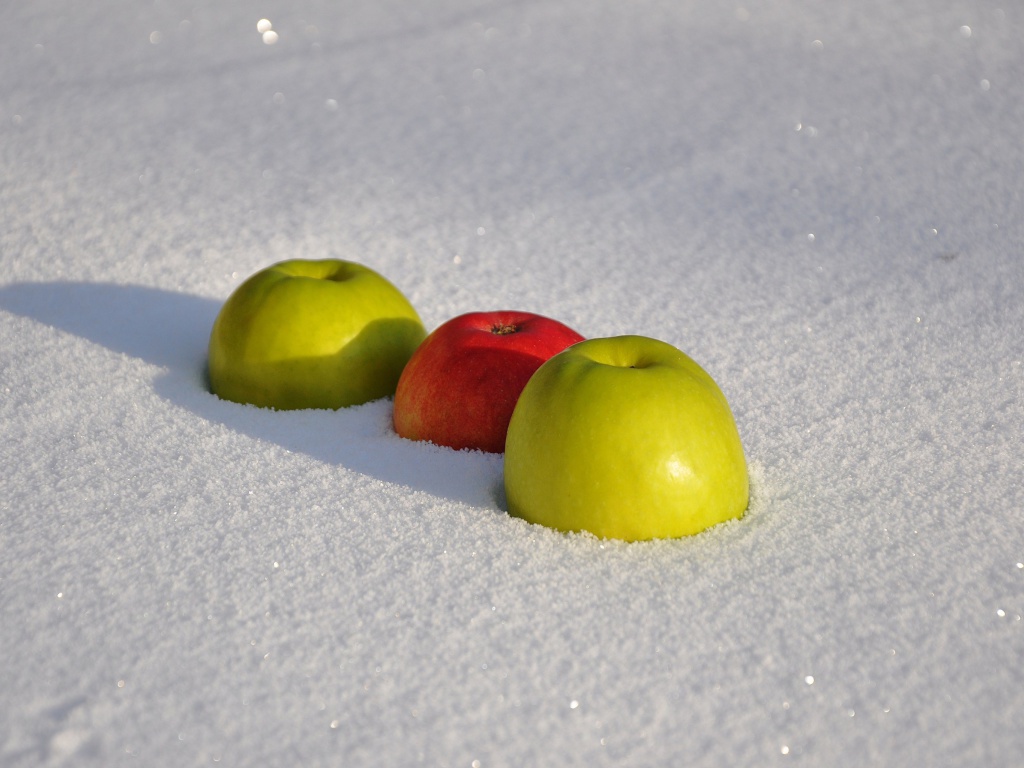 Sfondi Apples in Snow 1024x768