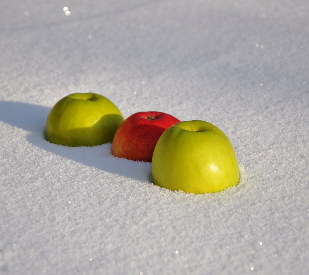 Обои Apples in Snow 1080x960