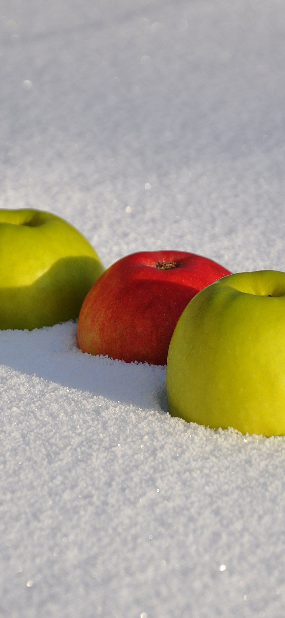 Sfondi Apples in Snow 1170x2532