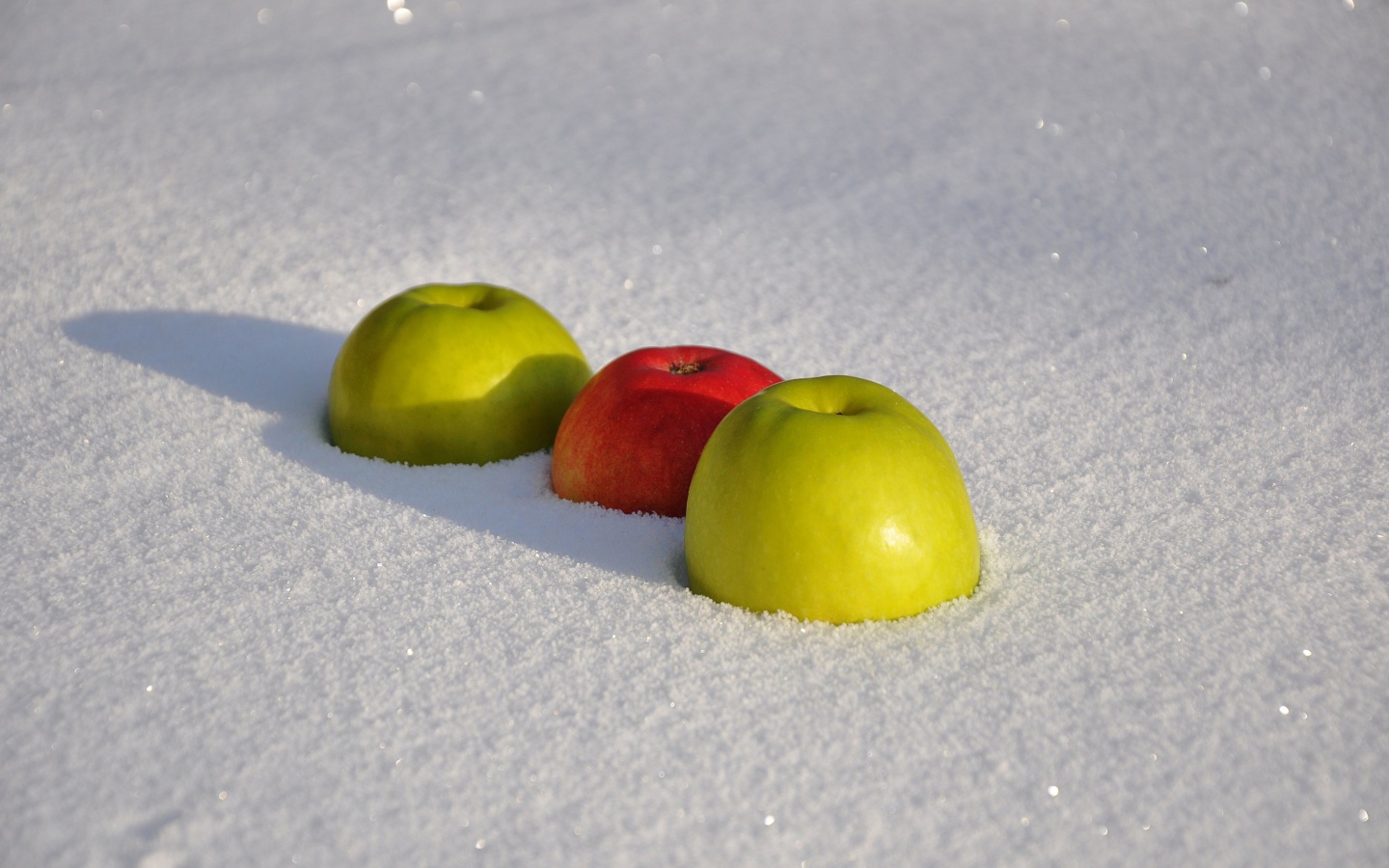 Sfondi Apples in Snow 1440x900