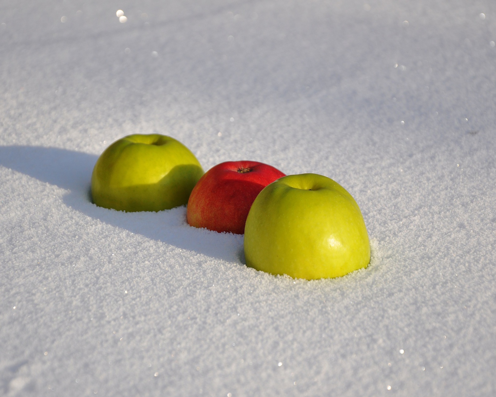 Обои Apples in Snow 1600x1280