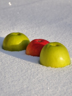 Apples in Snow wallpaper 240x320