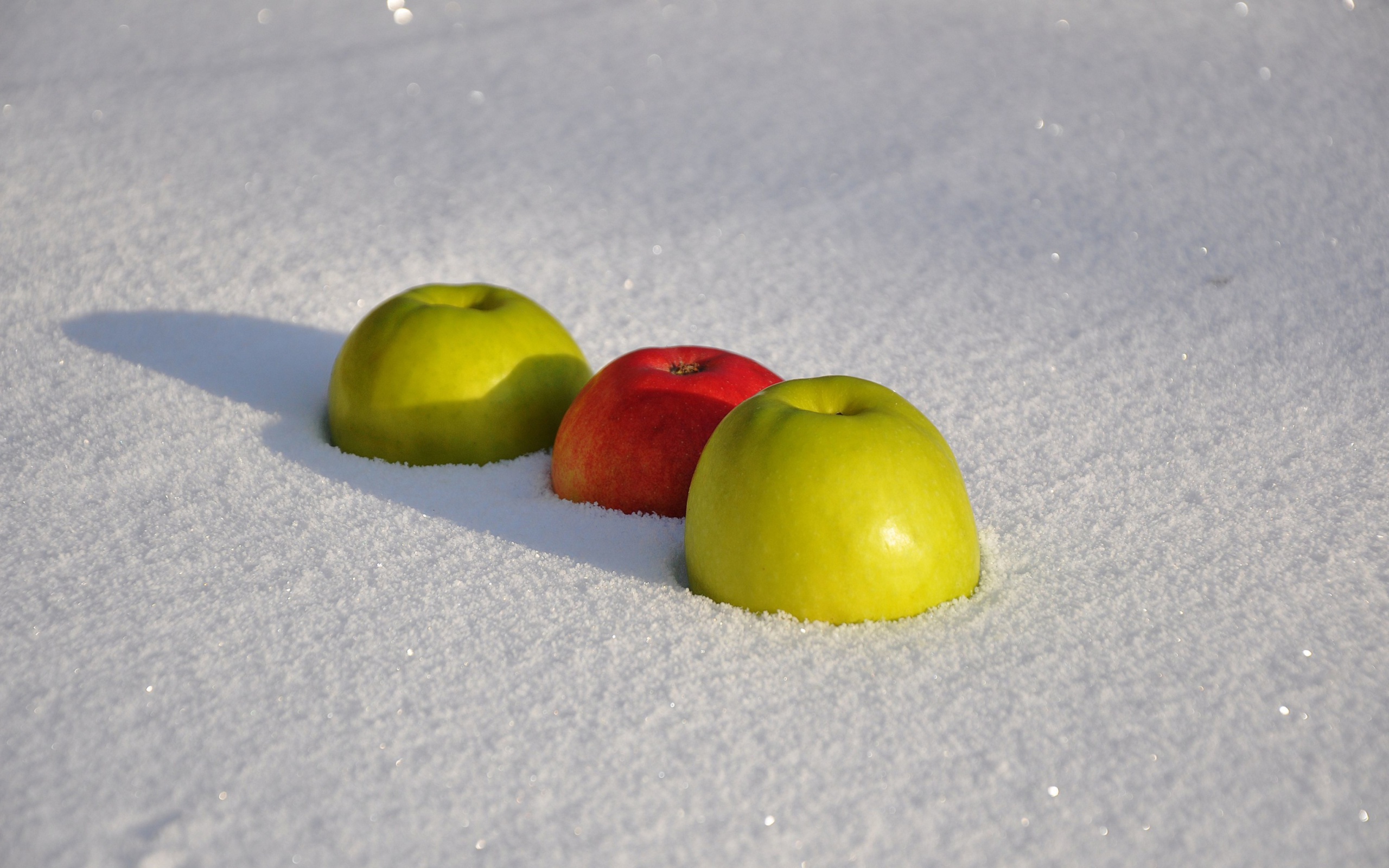 Screenshot №1 pro téma Apples in Snow 2560x1600