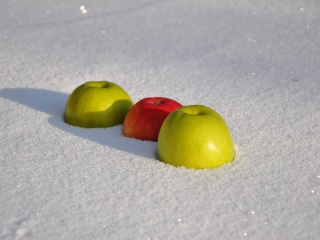 Обои Apples in Snow 320x240