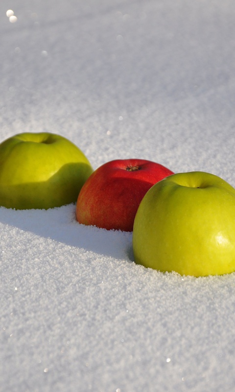 Обои Apples in Snow 480x800