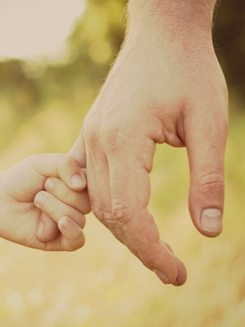 Das I Want To Hold Your Hand Wallpaper 480x640