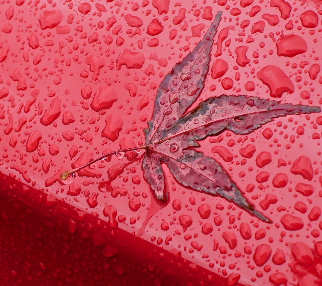 Das Rainy Red Autumn Wallpaper 1080x960