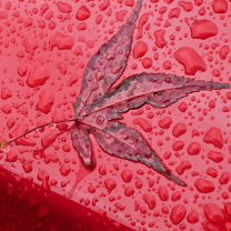 Screenshot №1 pro téma Rainy Red Autumn 208x208