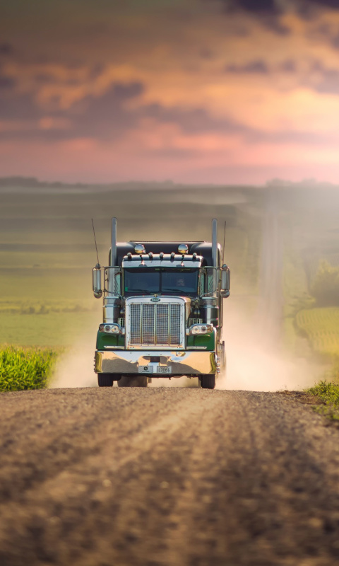 Das American Truck Wallpaper 480x800