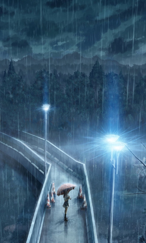 Das Rainy Night Wallpaper 480x800