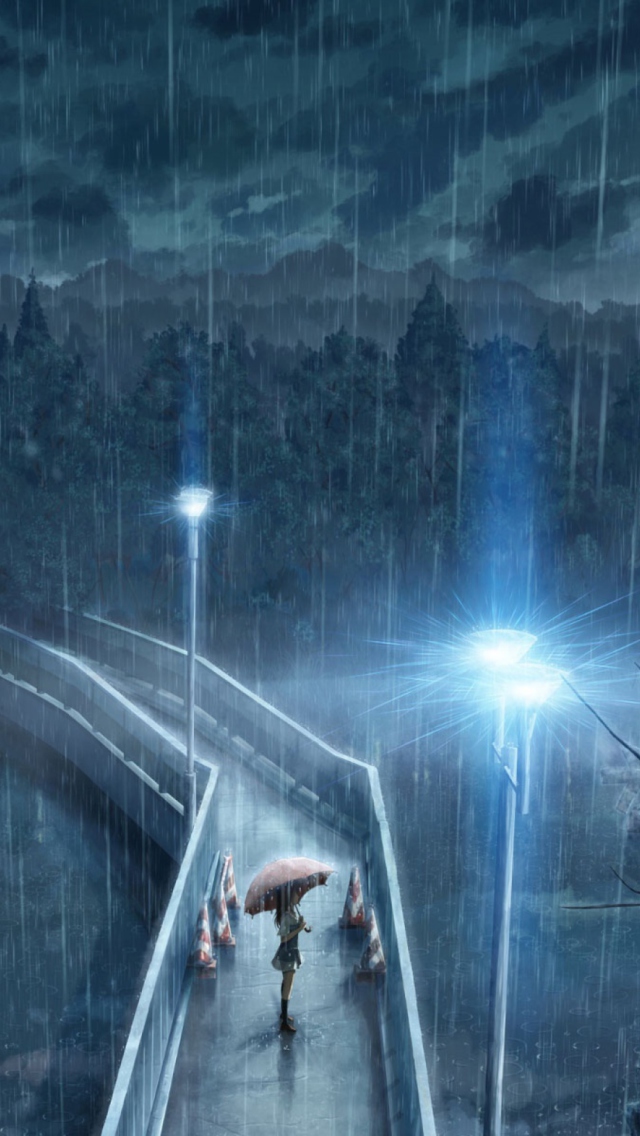 Rainy Night wallpaper 640x1136