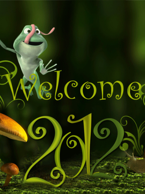 Welcome New Year 2012 wallpaper 480x640