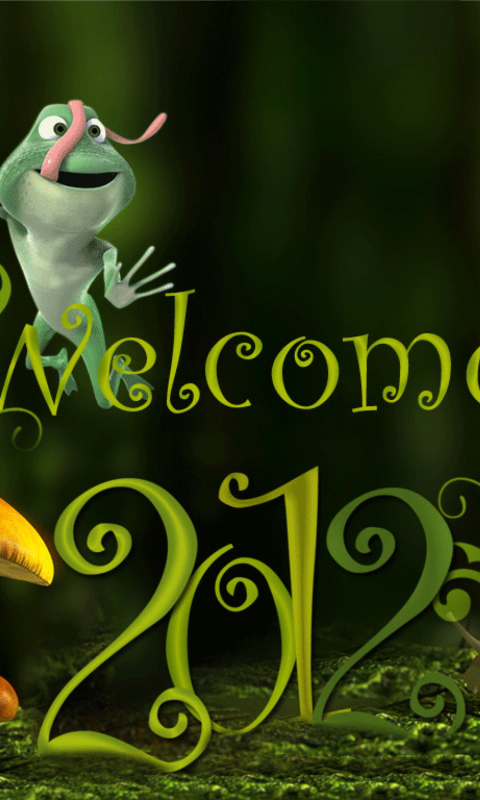 Welcome New Year 2012 wallpaper 480x800