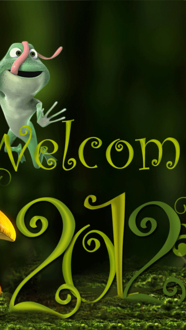 Welcome New Year 2012 wallpaper 640x1136