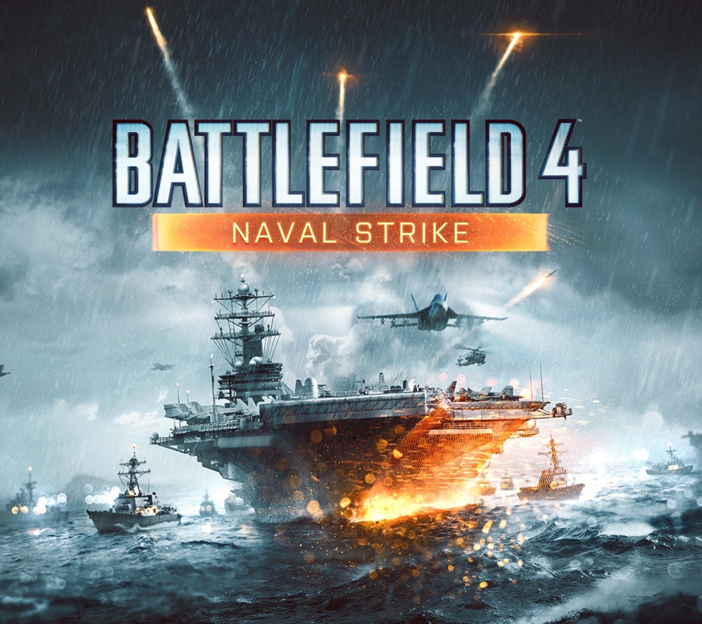 Fondo de pantalla Battlefield 4 Naval Strike 1440x1280