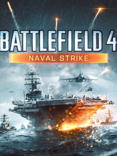 Das Battlefield 4 Naval Strike Wallpaper 480x640