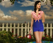 Sfondi Katy Perry 2012 176x144
