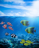 Horizon Colorful Sea World wallpaper 128x160