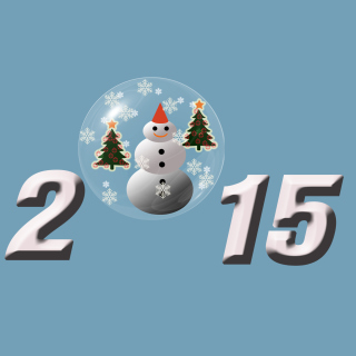 2015 Year - Fondos de pantalla gratis para 1024x1024