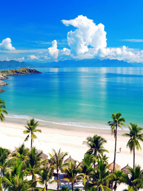 Fondo de pantalla Fiji Tropical Beach 480x640