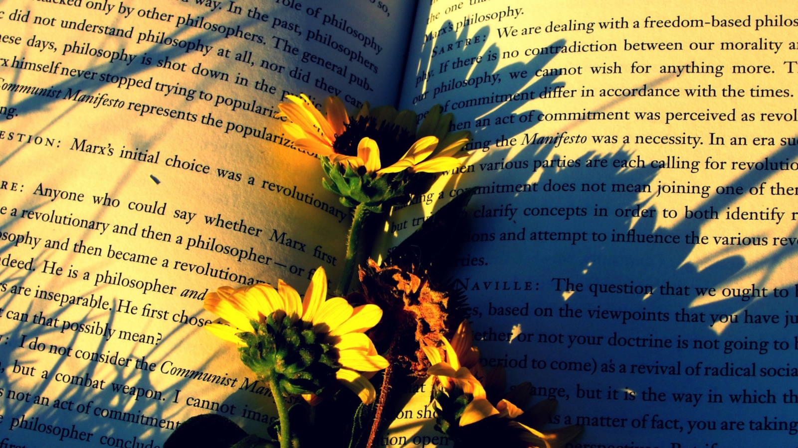 Das Book And Flowers Wallpaper 1600x900