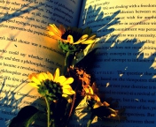 Das Book And Flowers Wallpaper 176x144