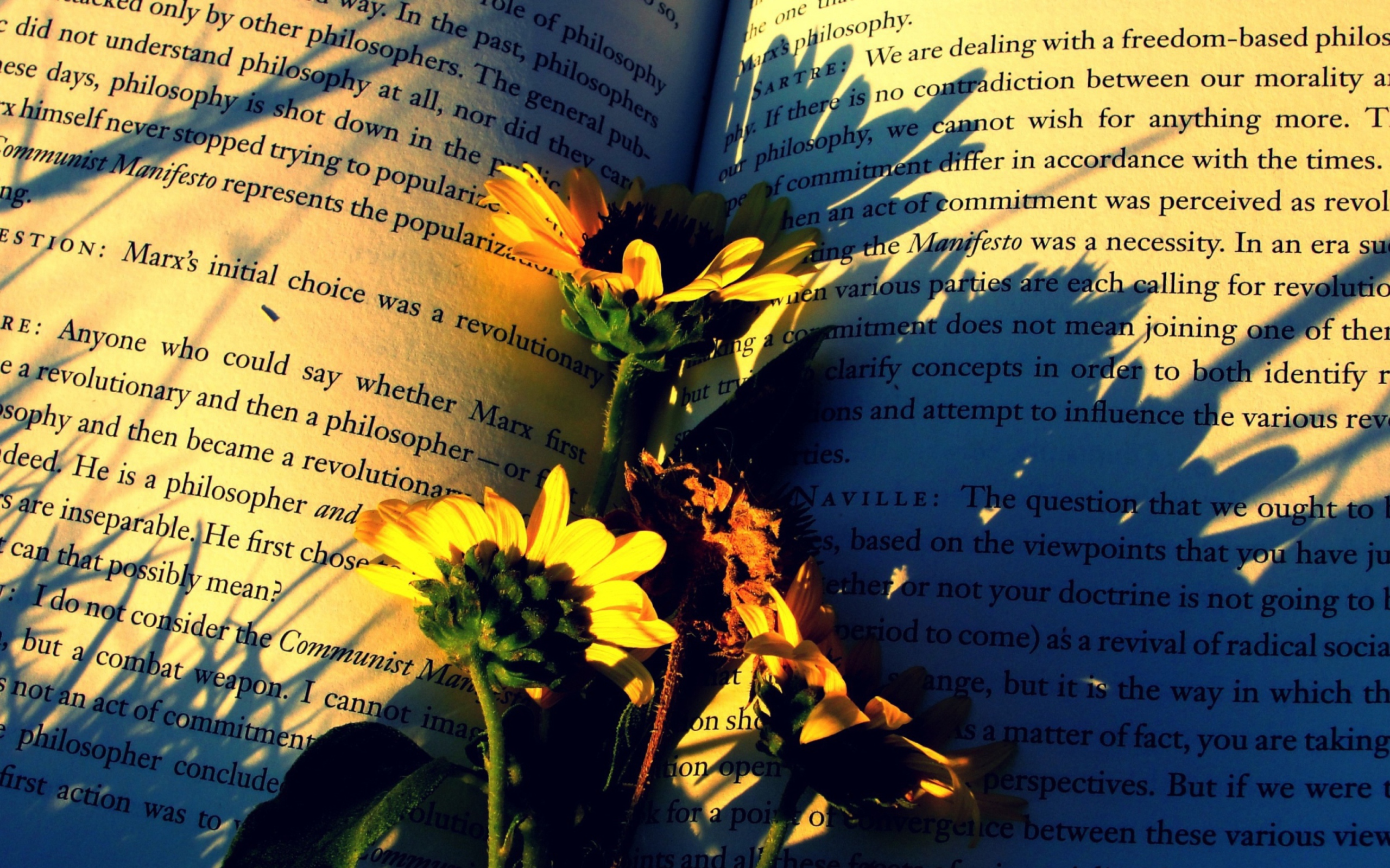 Book And Flowers wallpaper 2560x1600
