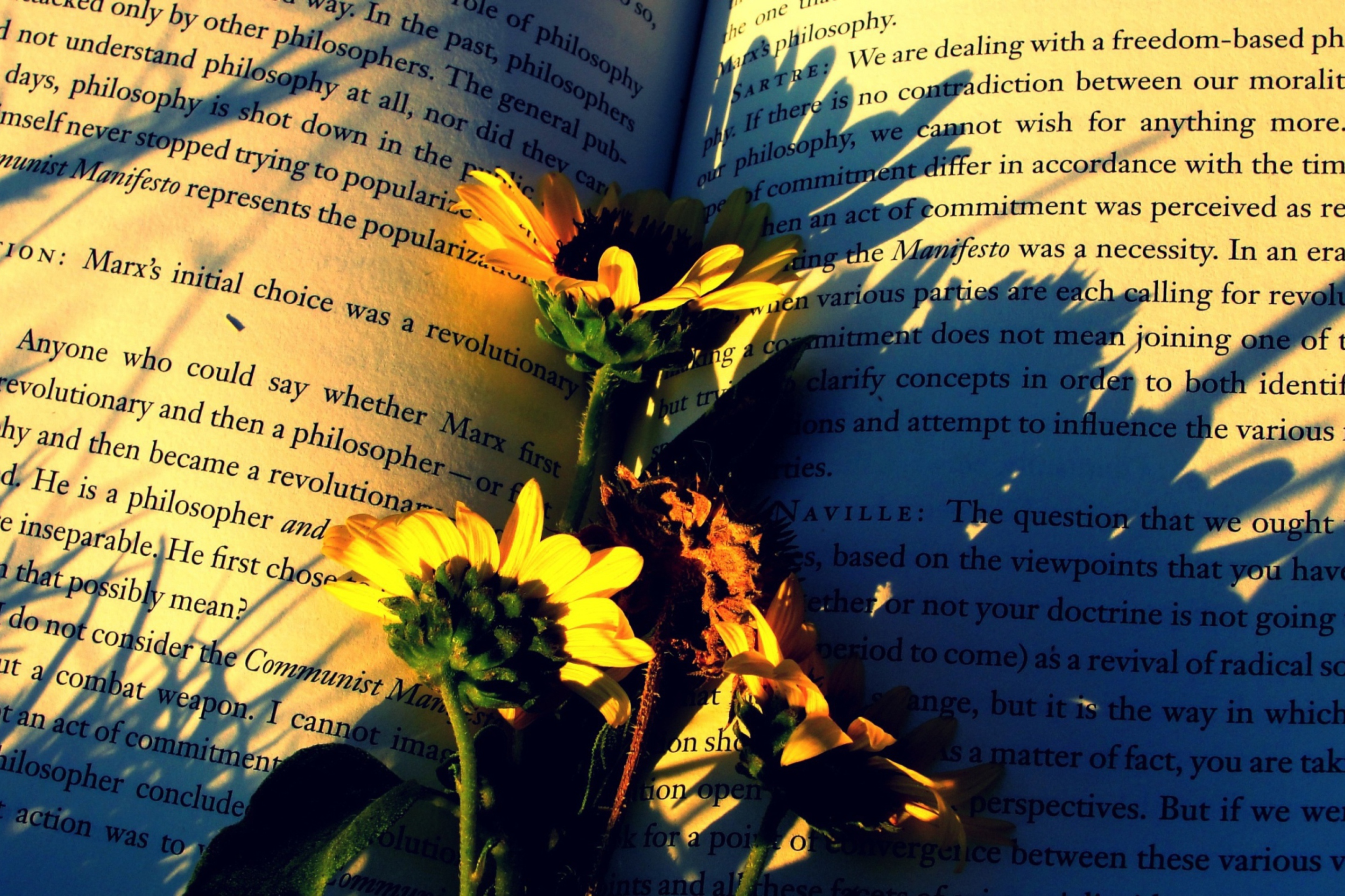 Screenshot №1 pro téma Book And Flowers 2880x1920