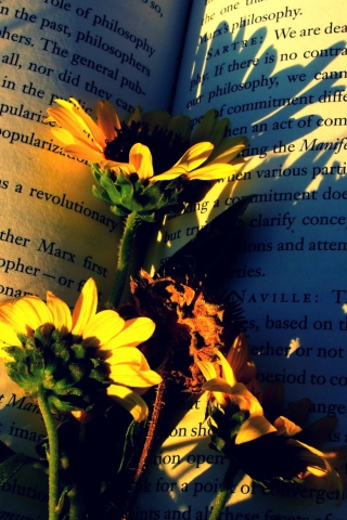 Das Book And Flowers Wallpaper 320x480