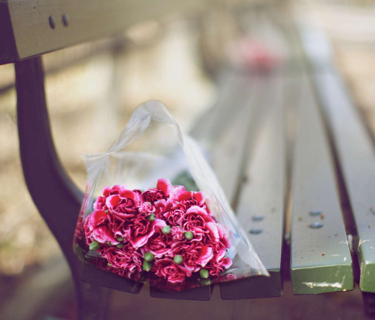 Bouquet On Bench In Park screenshot #1 1200x1024